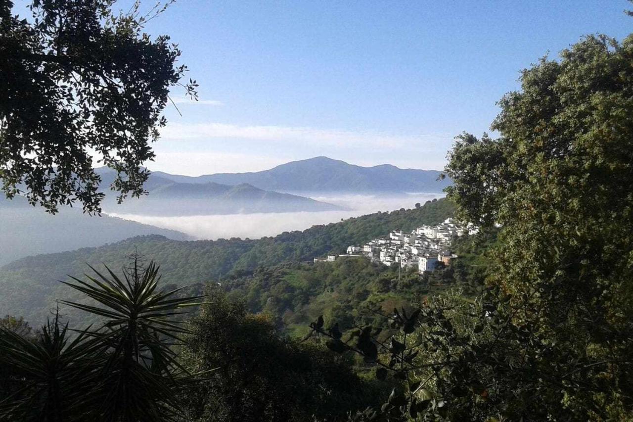 Casa El Chaparral Songbird Mountain Apartment Benadalid ภายนอก รูปภาพ