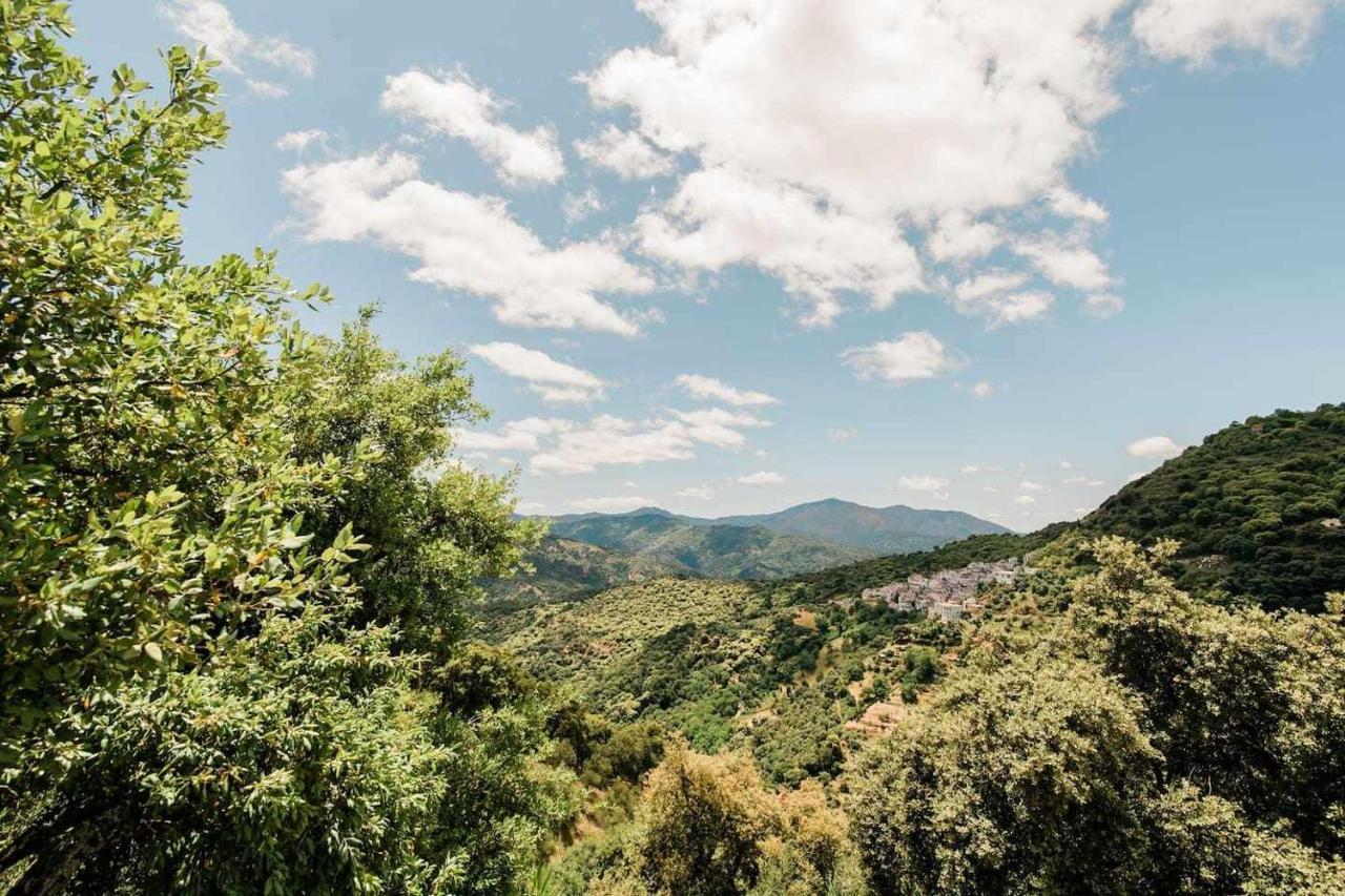 Casa El Chaparral Songbird Mountain Apartment Benadalid ภายนอก รูปภาพ